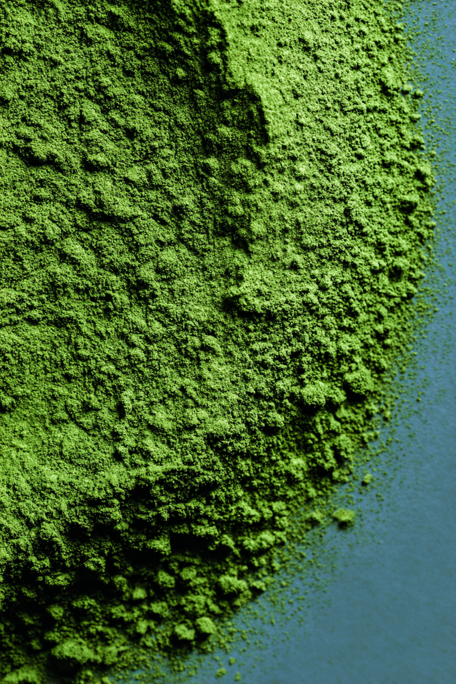 4 Color Face Highlighter